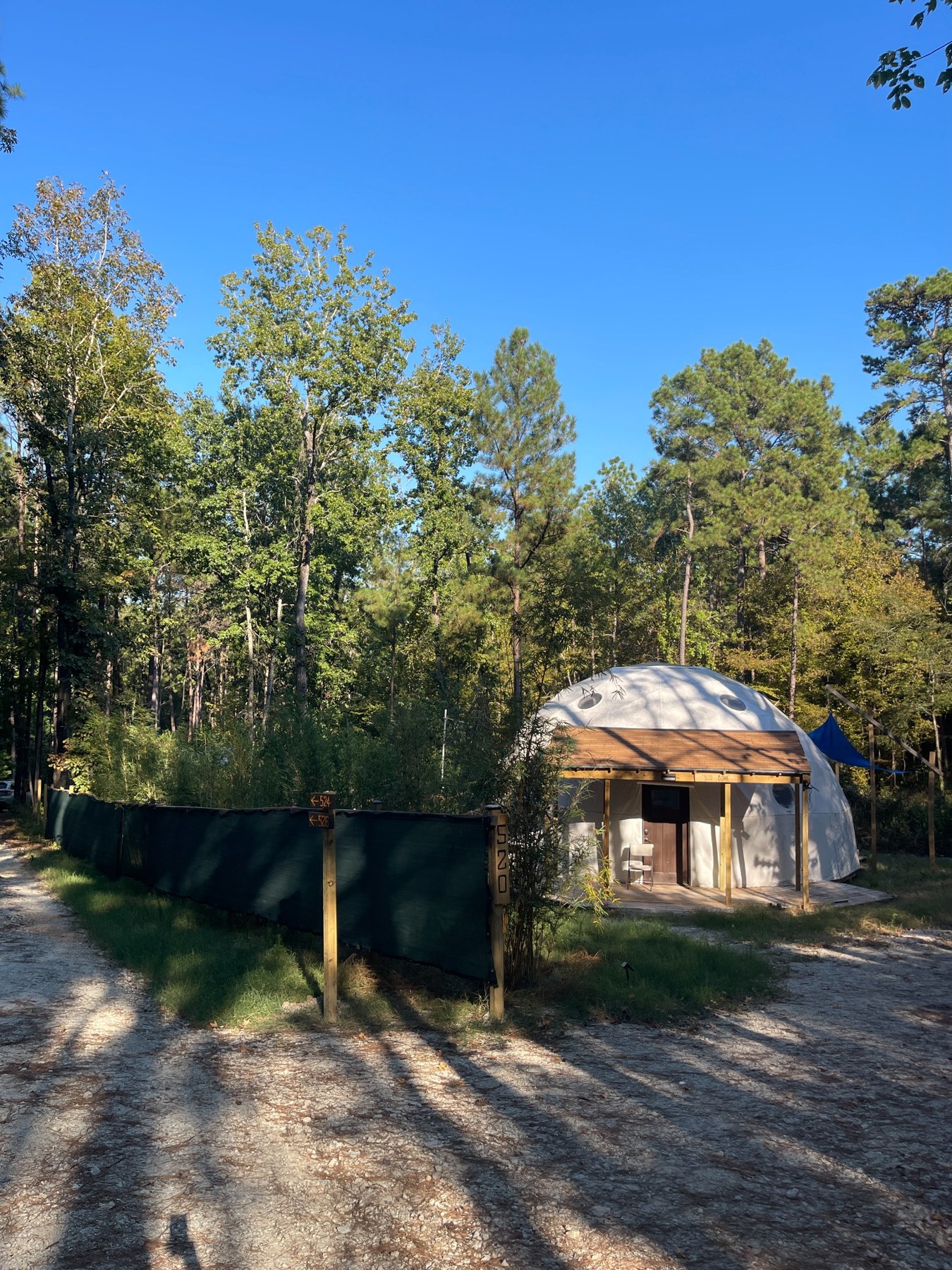 520 Dome with its covered entrance and forest surroundings