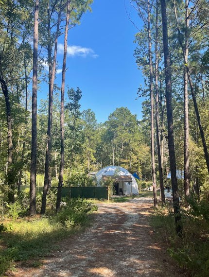 Forest path leading toward 520 Dome
