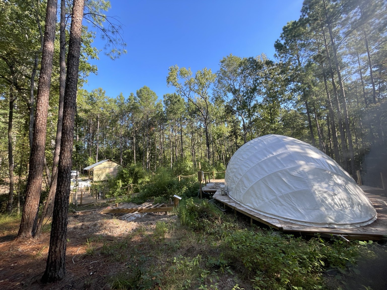 524 Shell nestled among the trees.