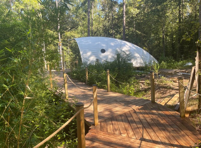 524 Shell nestled among trees beyond its wooden walkway